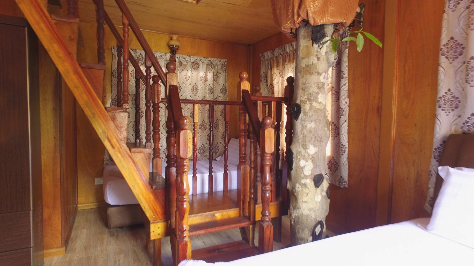 Готель Borneo Tree House Кота-Кінабалу Екстер'єр фото